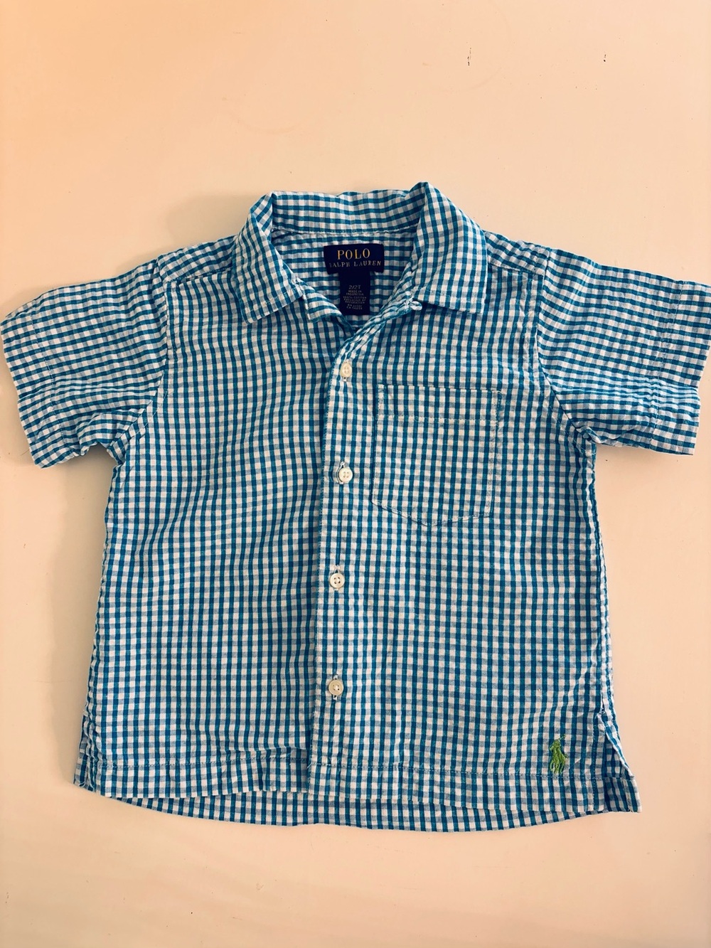 Polo by Ralph Lauren Teal and White Gingham Button-Down Shirt